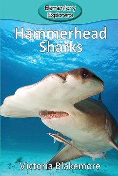 Hammerhead Sharks - Blakemore, Victoria