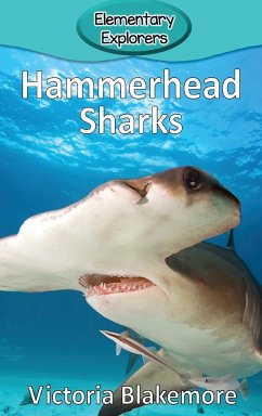 Hammerhead Sharks - Blakemore, Victoria