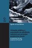 Atuação pública e promoção da eficiência coletiva em arranjos produtivos locais (eBook, ePUB)