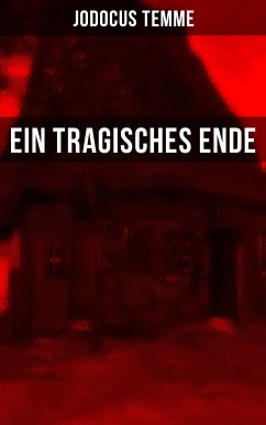 Ein tragisches Ende (eBook, ePUB) - Temme, Jodocus