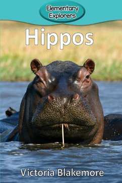 Hippos - Blakemore, Victoria