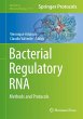 Bacterial Regulatory RNA - Bild 1