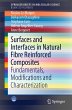 Surfaces and Interfaces in Natural... - Bild 1
