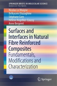 Surfaces and Interfaces in Natural Fibre Reinforced Composites - Le Moigne, Nicolas;Otazaghine, Belkacem;Corn, Stéphane