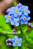 Não me esqueças (eBook, ePUB)