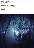Insane Storys (eBook, ePUB)