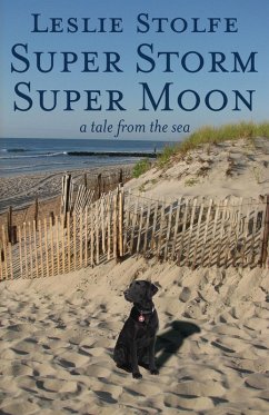 Super Storm Super Moon - Stolfe, Leslie