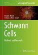 Schwann Cells - Bild 1