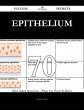 Epithelium 70 Success Secrets - 70 Most... - Bild 1