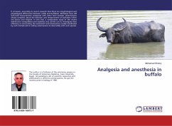 Analgesia and anesthesia in buffalo