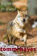 Foster-brother To A Wolf (eBook, ePUB) - Bild 1