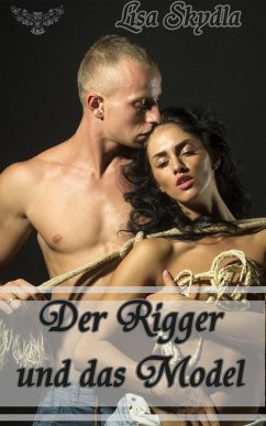 Der Rigger und das Model (eBook, ePUB) - Skydla, Lisa