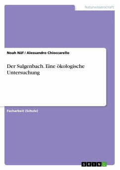 Der Sulgenbach. Eine ökologische Untersuchung - Chioccarello, Alessandro;Näf, Noah