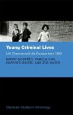 Young Criminal Lives: Life Courses and Life Chances from 1850 (eBook, ePUB)
