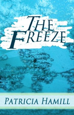 Cover The Freeze (eBook, ePUB)