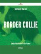 129 Things That All Border Collie... - Bild 1