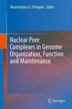 Nuclear Pore Complexes in Genome Organization, Function and Maintenance