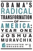 Obama's Radical Transformation of America: Year One (eBook, ePUB)