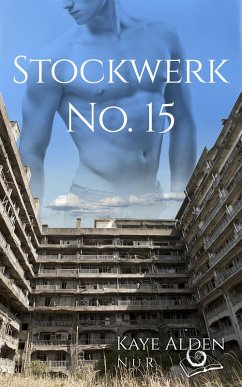 Stockwerk No 15 (eBook, ePUB) - Alden, Kaye