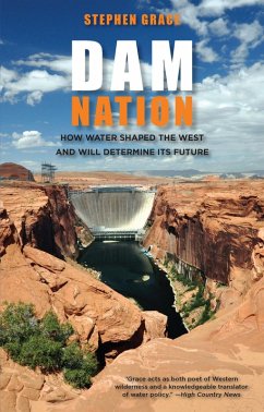 Cover Dam Nation (eBook, ePUB)