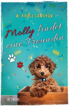 Molly findet eine Freundin - Cameron, W. Bruce