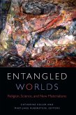 Entangled Worlds (eBook, PDF)