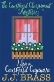 I Spy a Courtyard Casanova (eBook, ePUB)