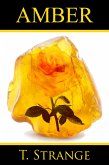 Amber (eBook, ePUB) Amber (eBook, ePUB)
