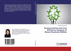 Environmental and Cost Efficiency Analysis of Steam-Powered Utilities