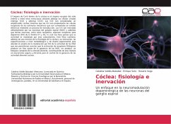 Cóclea: fisiología e inervación - Valdés-Baizabal, Catalina;Soto, Enrique;Vega, Rosario