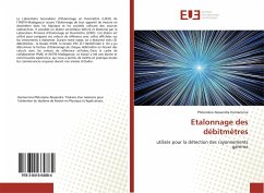 Etalonnage des débitmètres - Hantanirina, Philomène Alexandra