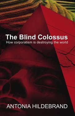 Blind Colossus (eBook, ePUB) - Hildebrand, Antonia