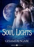 Soul Lights (eBook, ePUB)