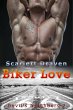 Biker Love (eBook, ePUB) - Bild 1