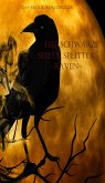 Tiefschwarze Seelensplitter (eBook, ePUB)