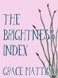 The Brightness Index (eBook, ePUB) - Bild 1
