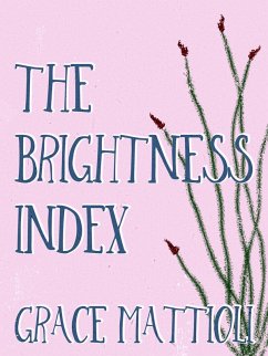 Cover The Brightness Index (eBook, ePUB)