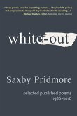 White-out (eBook, ePUB)
