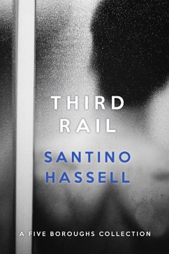 Third Rail (Five Boroughs) (eBook, ePUB) - Hassell, Santino