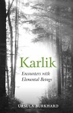 Karlik (eBook, ePUB)