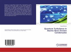 Quantum Turbulence in Atomic Bose¿Einsten Condensates