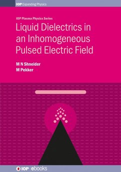 Liquid Dielectrics in an Inhomogeneous Pulsed Electric Field (eBook, ePUB) - Shneider, Mikhail N; Pekker, Mikhail