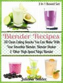 Blender Recipes: 30 Clean Eating Snacks (eBook, ePUB)