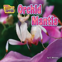 Orchid Mantis - Merwin, E.