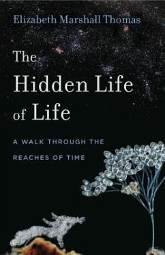The Hidden Life of Life: A Walk Through the Reaches of Time