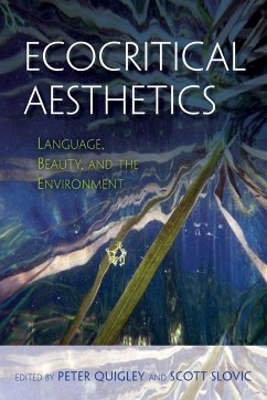 Ecocritical Aesthetics