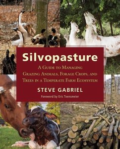 Silvopasture - Gabriel, Steve