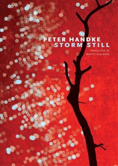 Storm Still - Handke, Peter;Chalmers, Martin