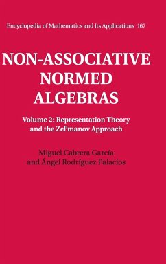 Non-Associative Normed Algebras - Cabrera García, Miguel; Rodríguez Palacios, Ángel