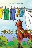 Horse in Socks Horse in Socks